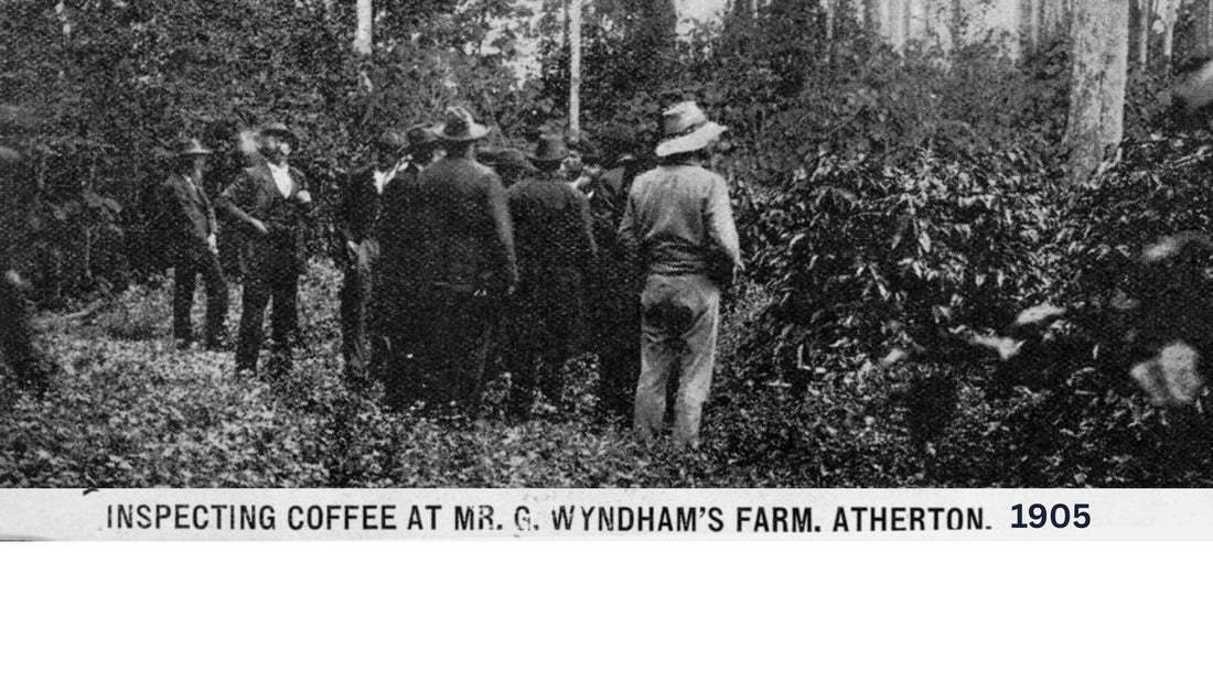 Do You Guys Sell Australian Coffee?
