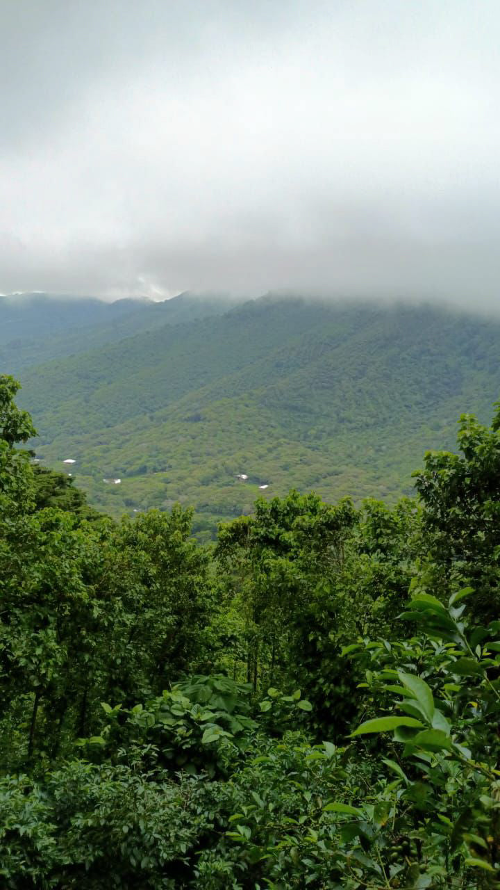 El Salvador - Los Naranjos